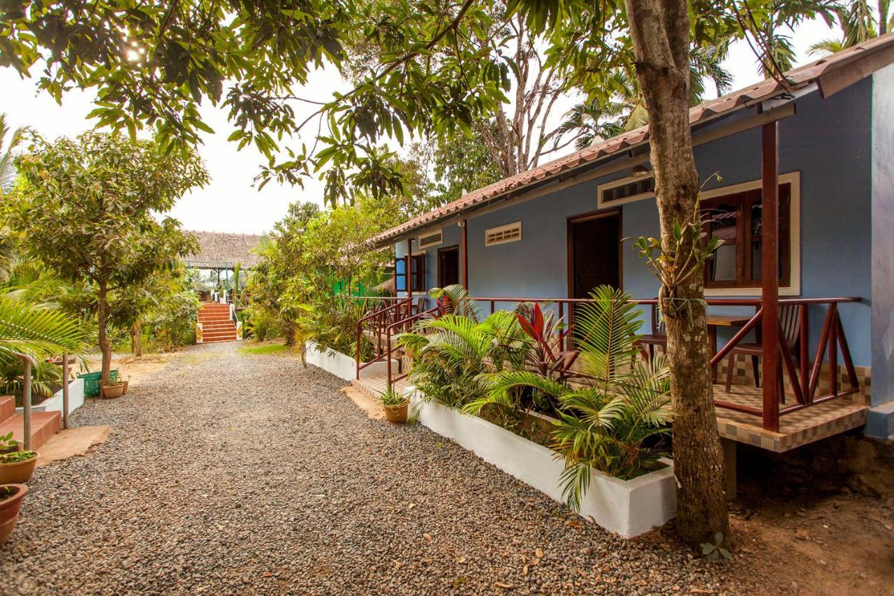 Green Mango Bungalows Kampot Exterior photo